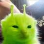 glorp.jpg